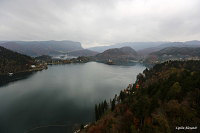 Бледский замок - Блед (Bled)