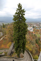 Бледский замок - Блед (Bled)