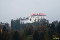 Бледский замок - Блед (Bled)