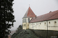 Замок Птуй - Птуй (Ptuj)