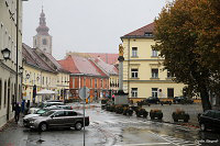 Птуй (Ptuj)