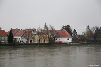 Птуй (Ptuj)