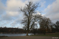 Замок Бойценбургер - Schloss Boitzenburg  -  Бойценбургер Ланд (Boitzenburger Land)