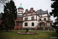 Замок Вилиград (Schloss Wiligrad)