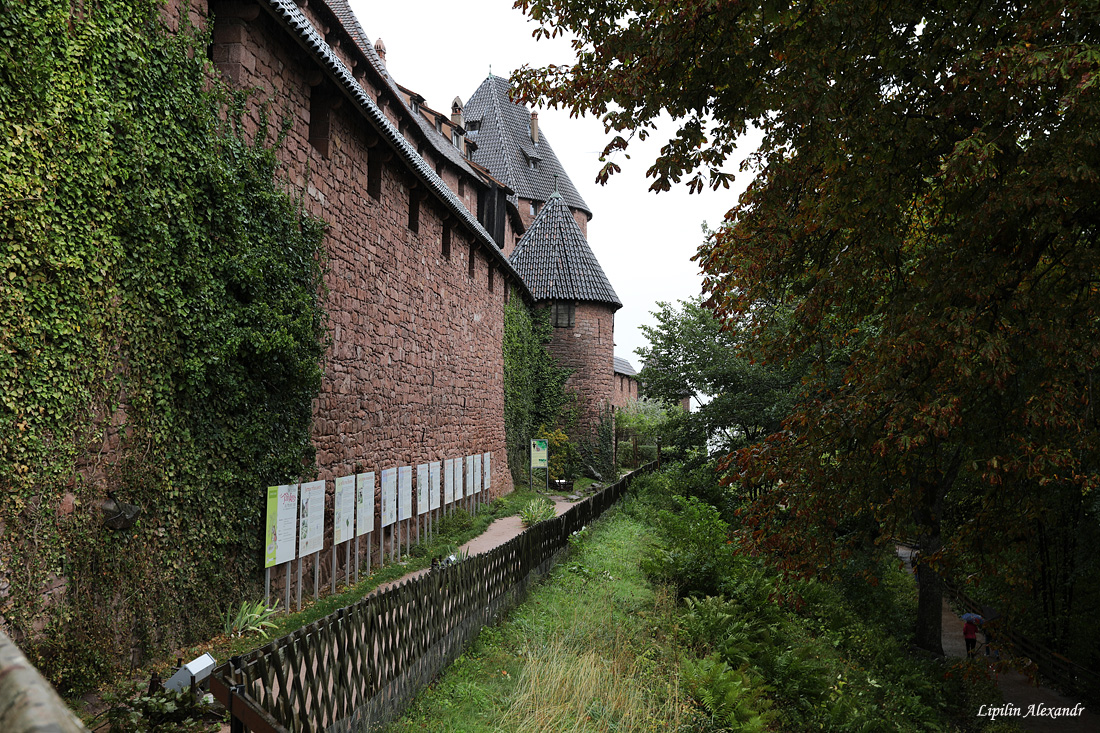 Château du Haut-Kœnigsbourg  - Замок Верхний Кенигсбург 