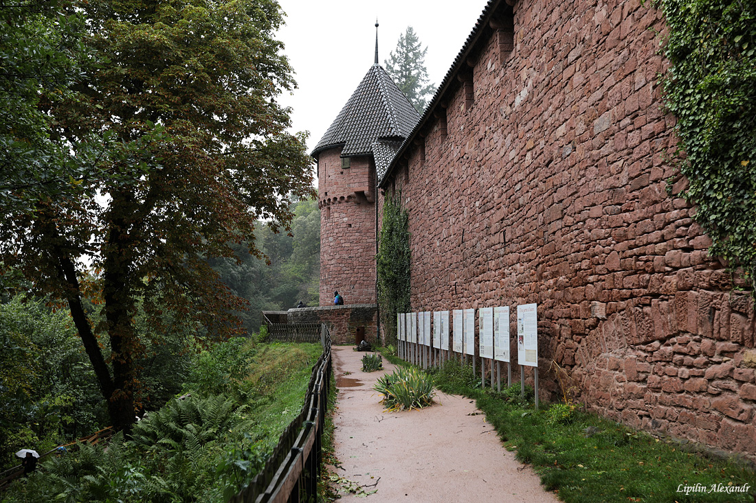 Château du Haut-Kœnigsbourg  - Замок Верхний Кенигсбург 