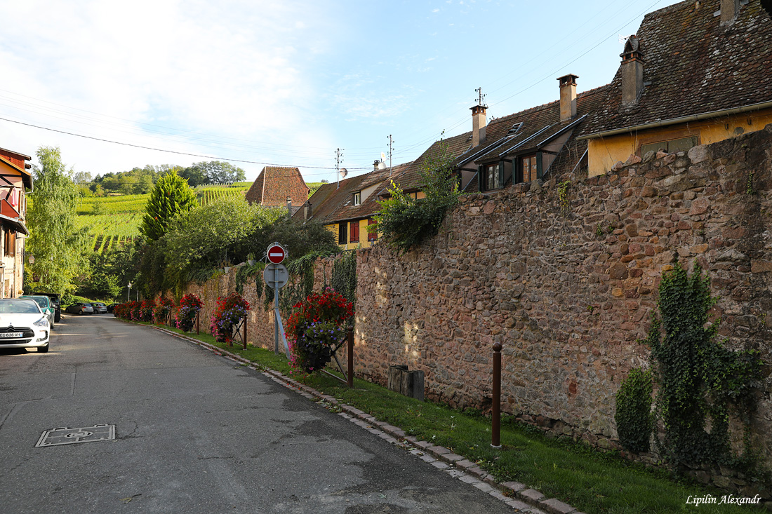 Риквир (Riquewihr) - Франция (France)