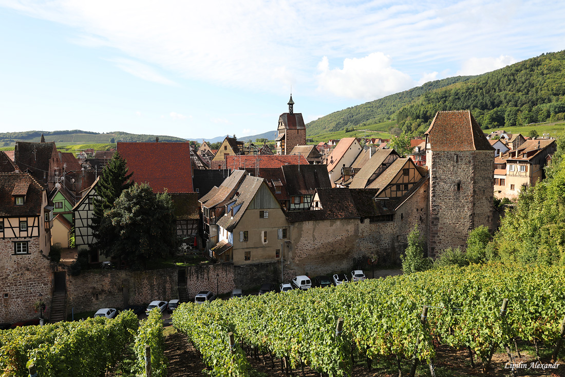 Риквир (Riquewihr) - Франция (France)