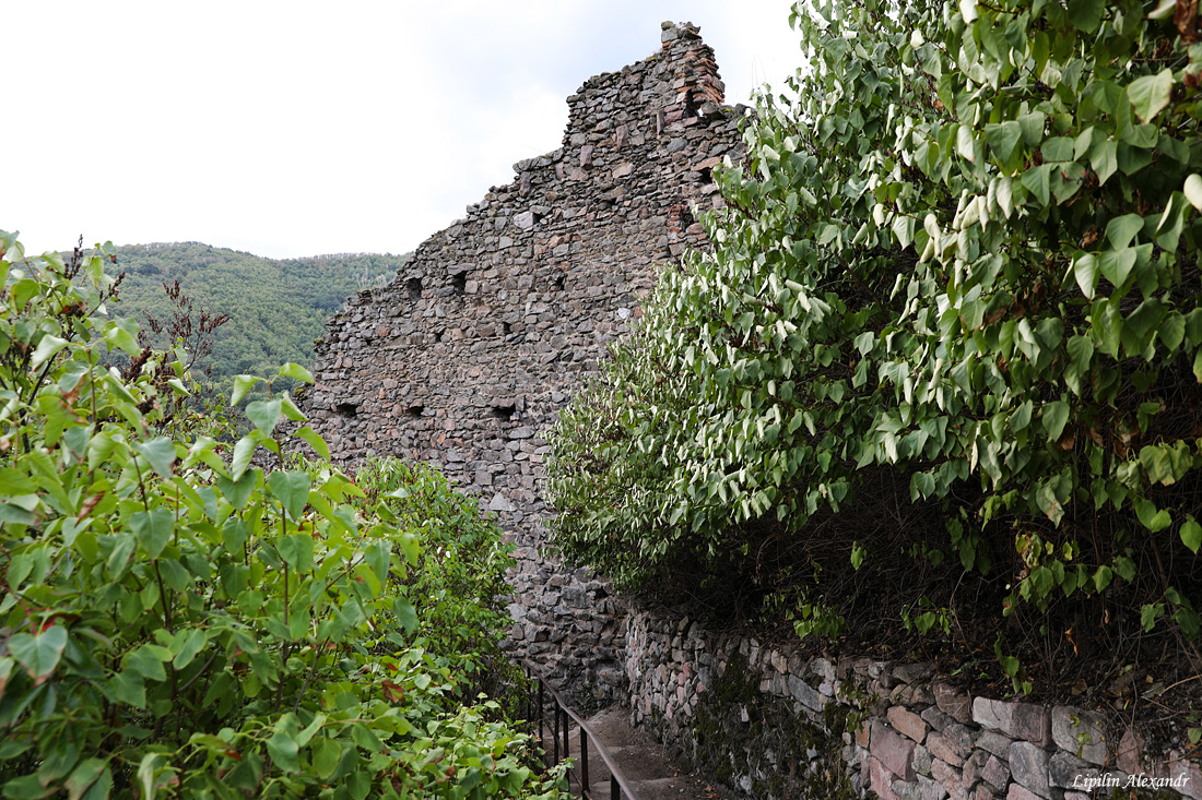 Кайзерсберг (Kaysersberg) - Франция (France)