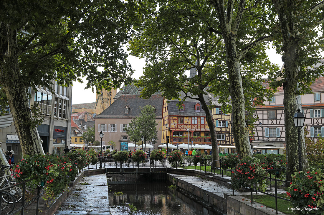 Кольмар (Colmar)