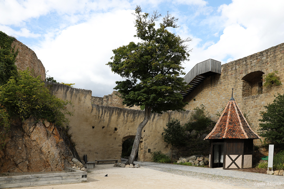 Замок Хохландсбург - Hohlandsbourg castle - Франция (France)