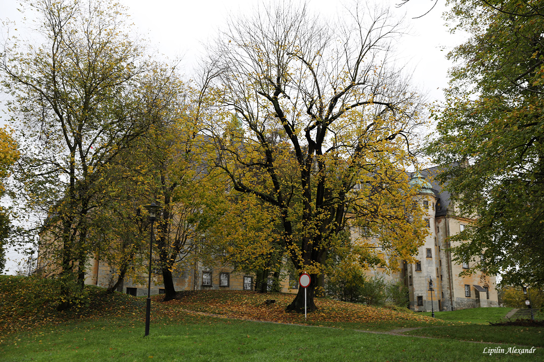 Олесницкий замок  - Олесница (Oleśnica) - Польша (Polska)