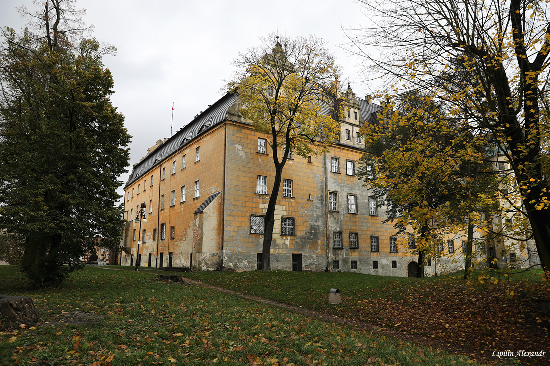 Олесницкий замок  - Олесница (Oleśnica) - Польша (Polska)