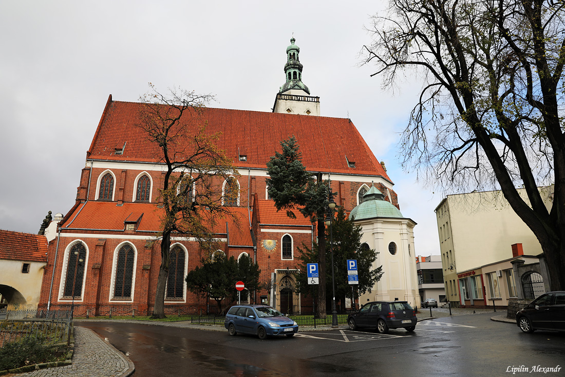 Олесницкий замок  - Олесница (Oleśnica) - Польша (Polska)