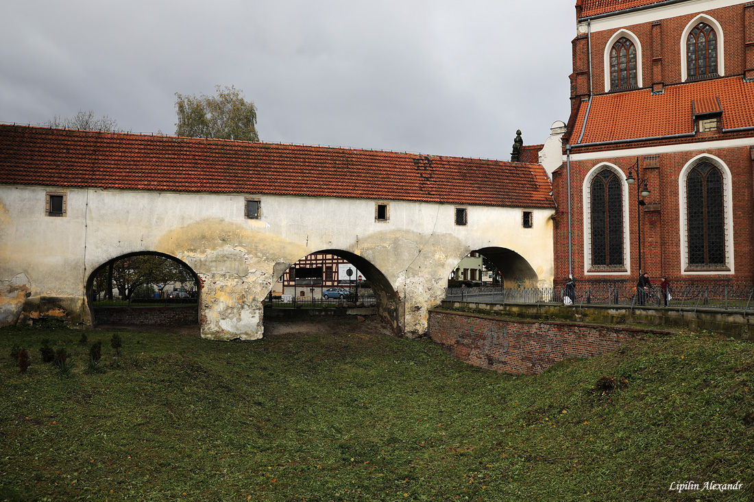 Олесницкий замок  - Олесница (Oleśnica) - Польша (Polska)