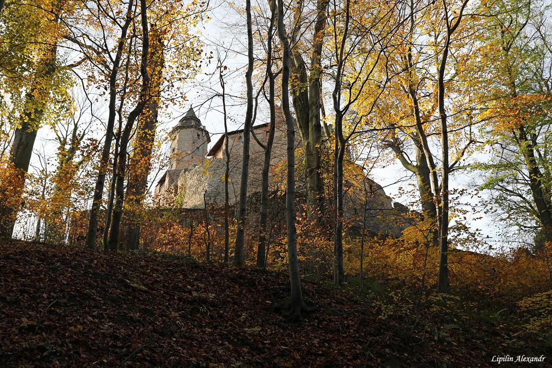 Замок Гродно - Загуже-Слёнске (Zagórze Śląskie)