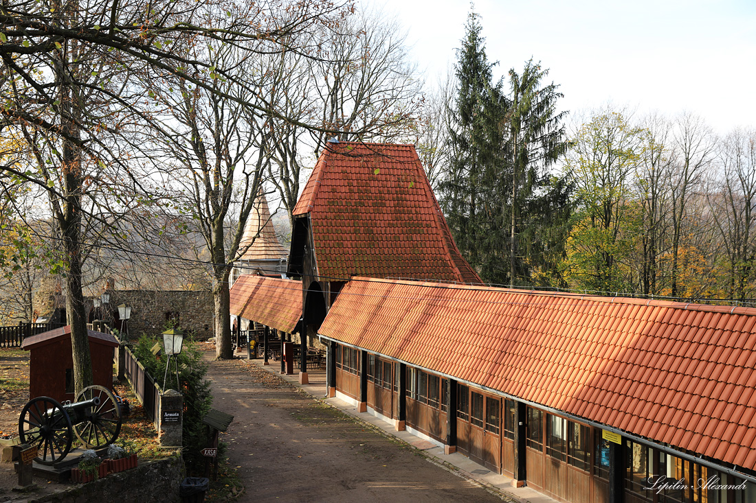 Замок Гродно - Загуже-Слёнске (Zagórze Śląskie)