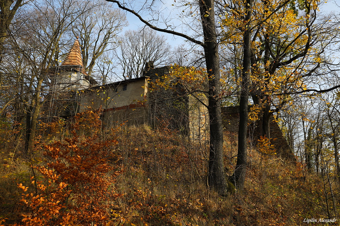 Замок Гродно - Загуже-Слёнске (Zagórze Śląskie)
