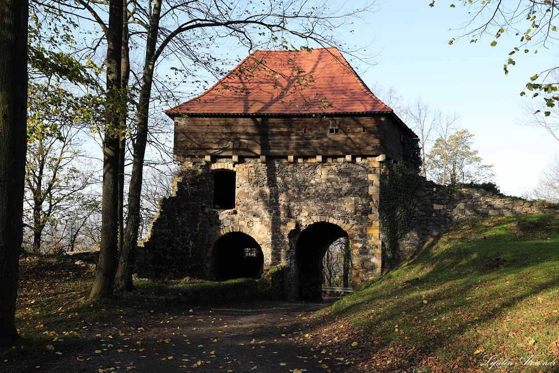 Замок Гродзец - Гродзец (Grodziec)