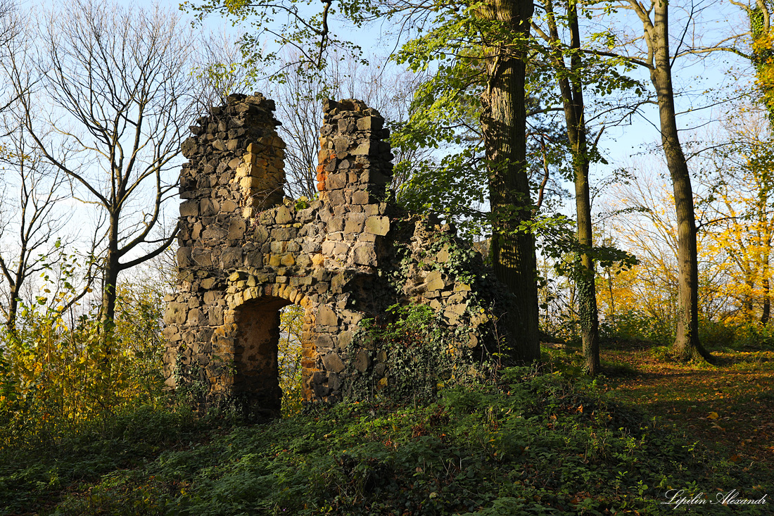 Замок Гродзец - Гродзец (Grodziec)