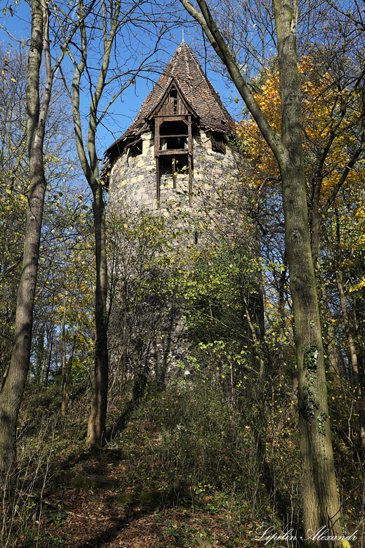 Замок Гродзец - Гродзец (Grodziec)