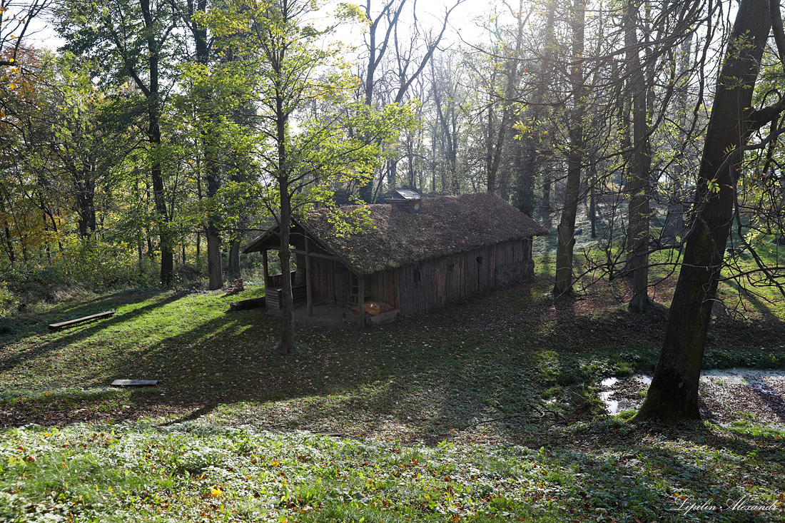 Замок Гродзец - Гродзец (Grodziec)