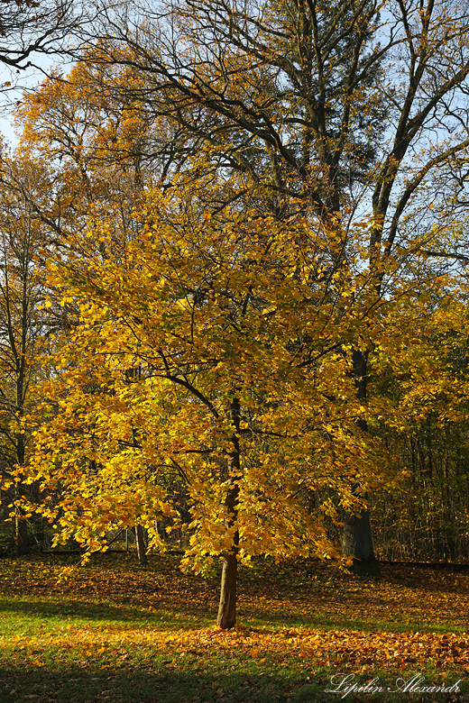 Замок Кличков  - Кличков (Kliczków)