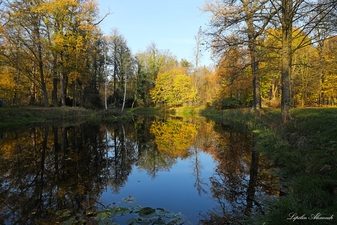 Замок Кличков  - Кличков (Kliczków)