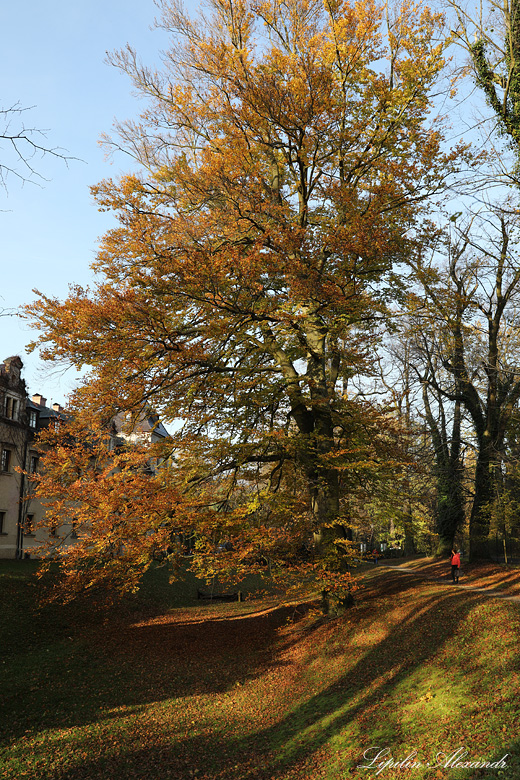 Замок Кличков  - Кличков (Kliczków)