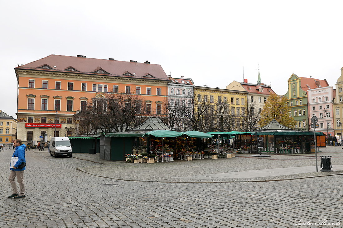 Вроцлав (Wroclaw)