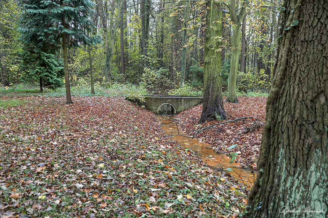 Замок Войновице - Войновице (Wojnowice) - Польша (Polska)