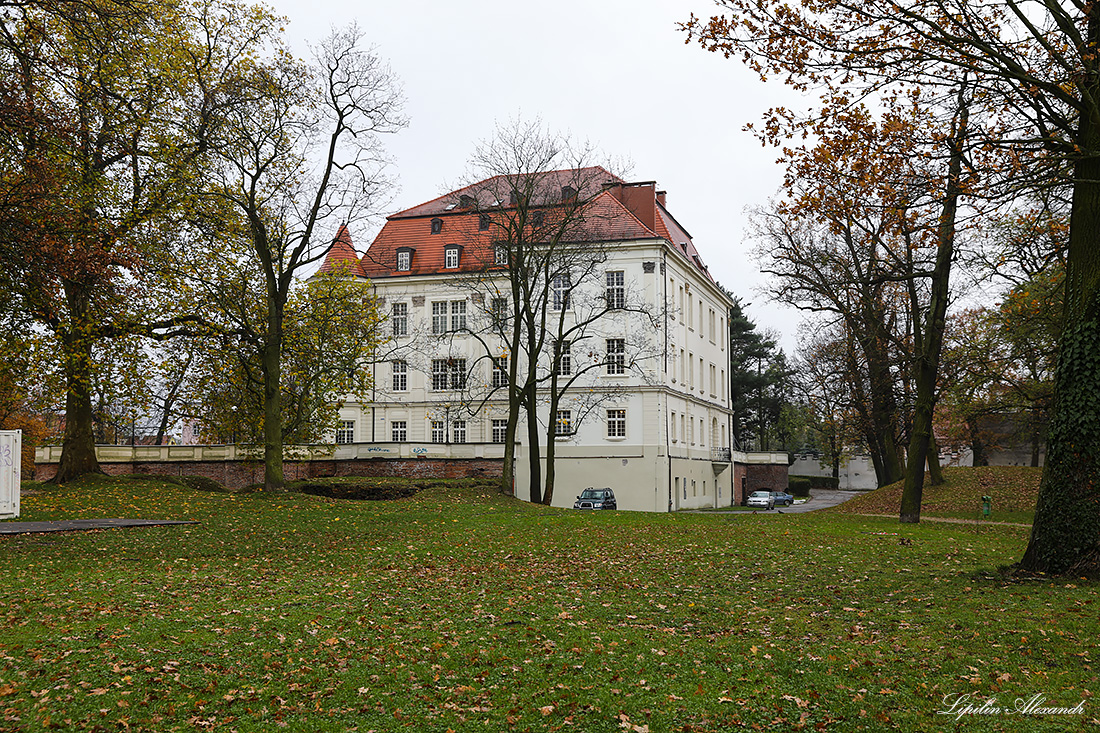 Лесневский замок - Леснице(Leśnica) - Польша (Polska)