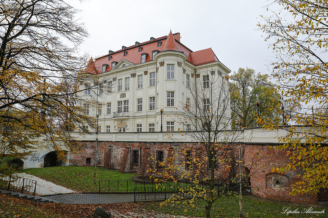 Лесневский замок - Леснице(Leśnica) - Польша (Polska)