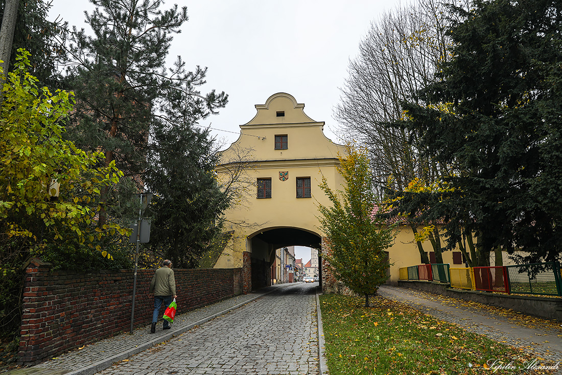 Замок Глогувек  - Глогувек (Głogówek) - Польша (Polska)