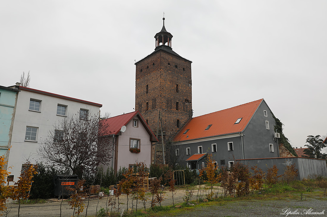 Замок Глогувек  - Глогувек (Głogówek) - Польша (Polska)