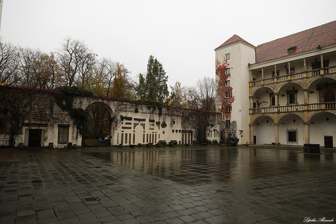 Замок Силезских Пястов - Бжег (Brzeg) - Польша (Polska)