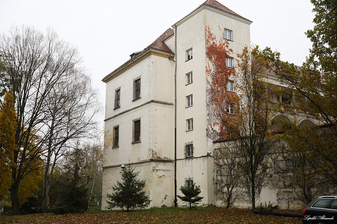 Замок Силезских Пястов - Бжег (Brzeg) - Польша (Polska)