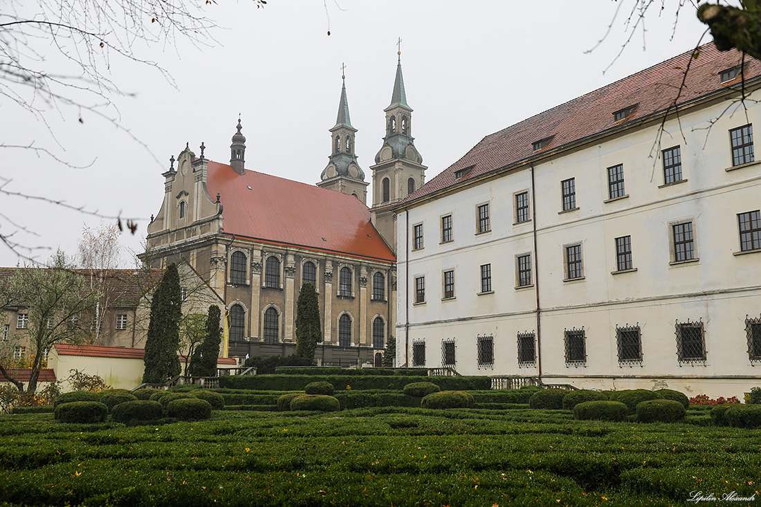 Замок Силезских Пястов - Бжег (Brzeg) - Польша (Polska)