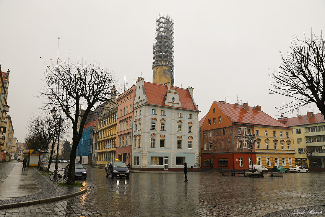 Замок Силезских Пястов - Бжег (Brzeg) - Польша (Polska)