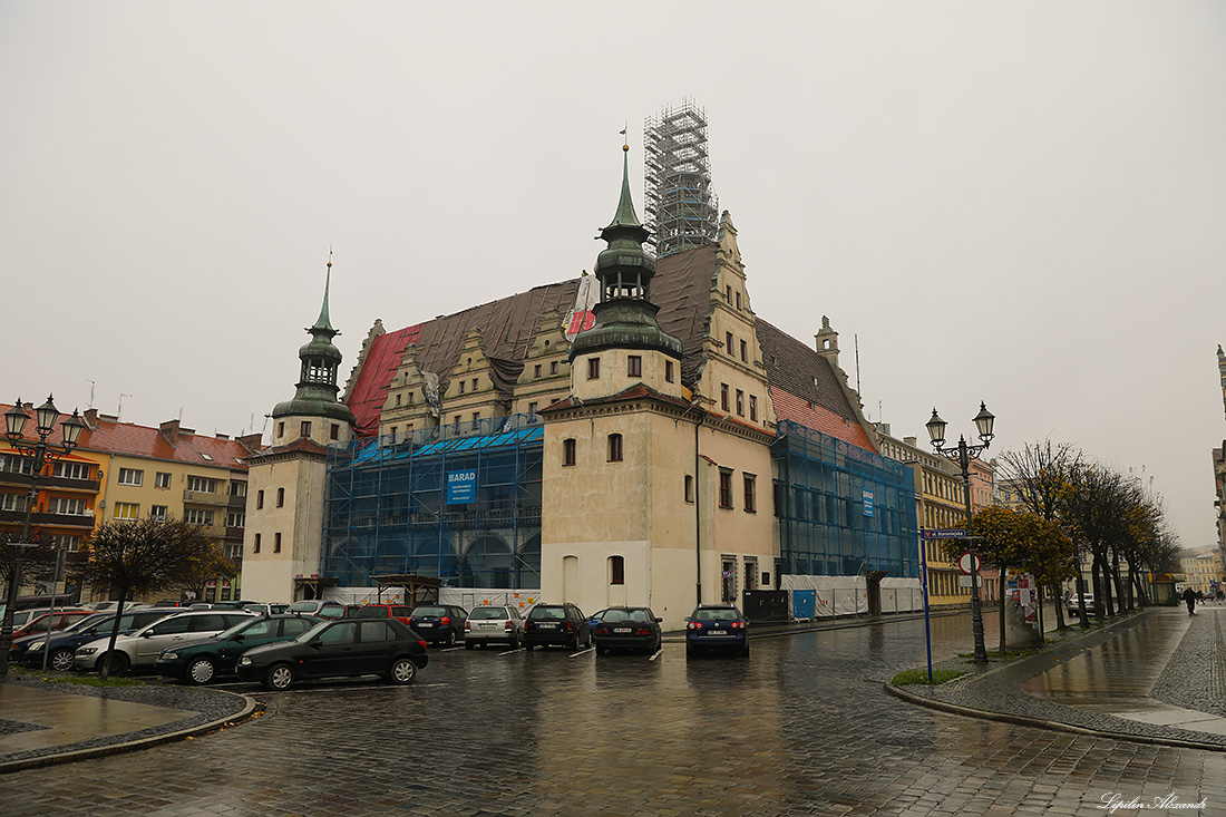 Замок Силезских Пястов - Бжег (Brzeg) - Польша (Polska)