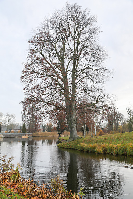 Парк Сан-Суси - Потсдам (Potsdam) - Германия (Deutschland)