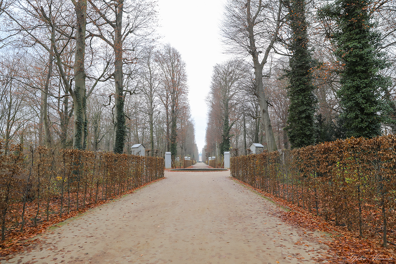 Парк Сан-Суси - Потсдам (Potsdam) - Германия (Deutschland)