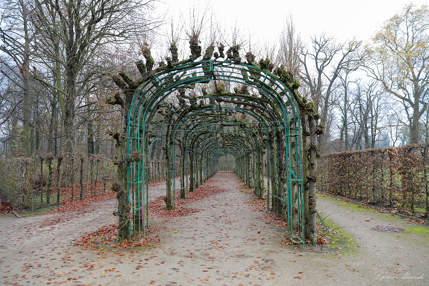 Парк Сан-Суси - Потсдам (Potsdam) - Германия (Deutschland)