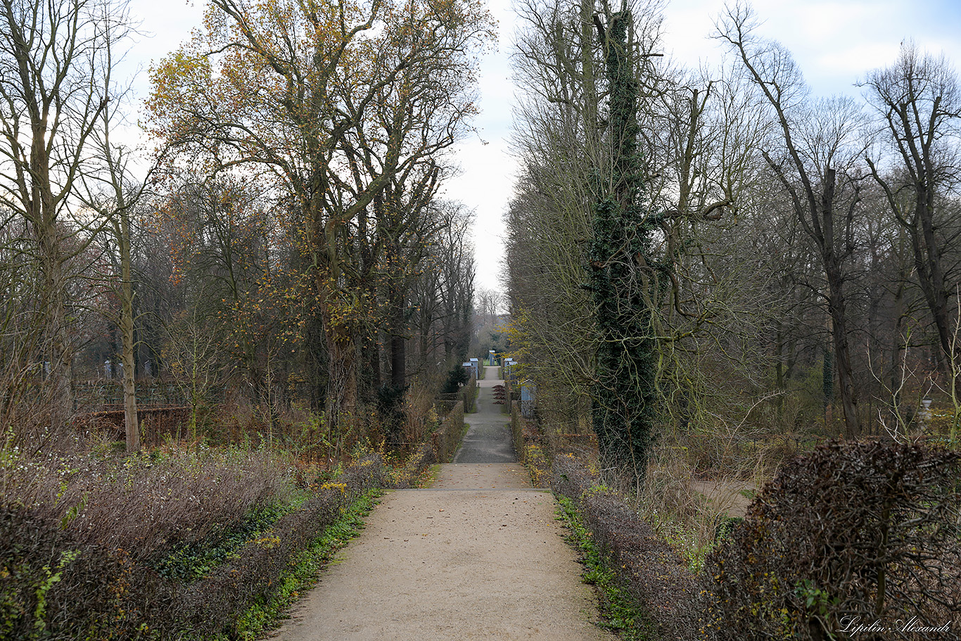 Парк Сан-Суси - Потсдам (Potsdam) - Германия (Deutschland)