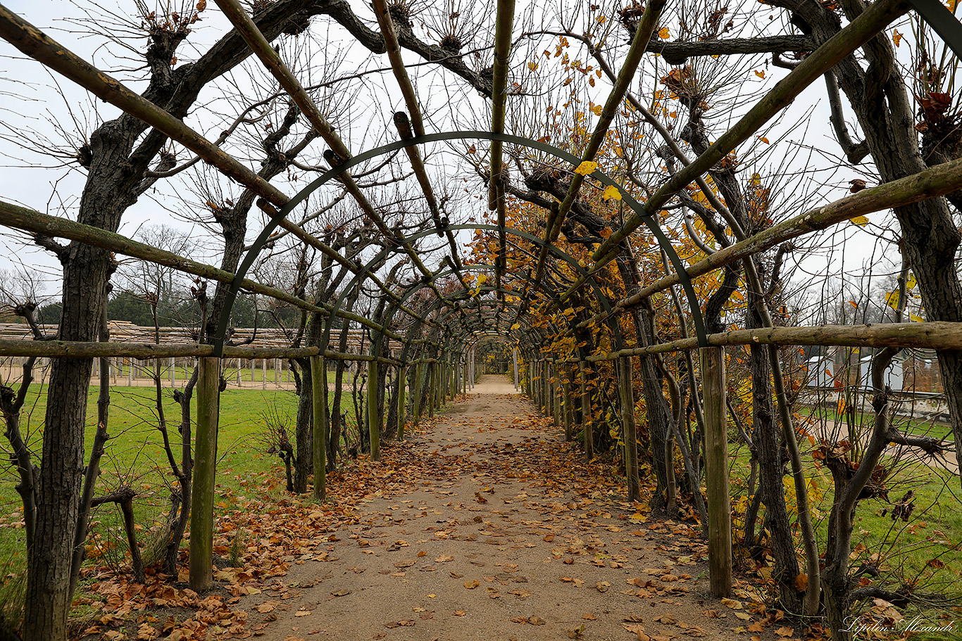 Парк Сан-Суси - Потсдам (Potsdam) - Германия (Deutschland)