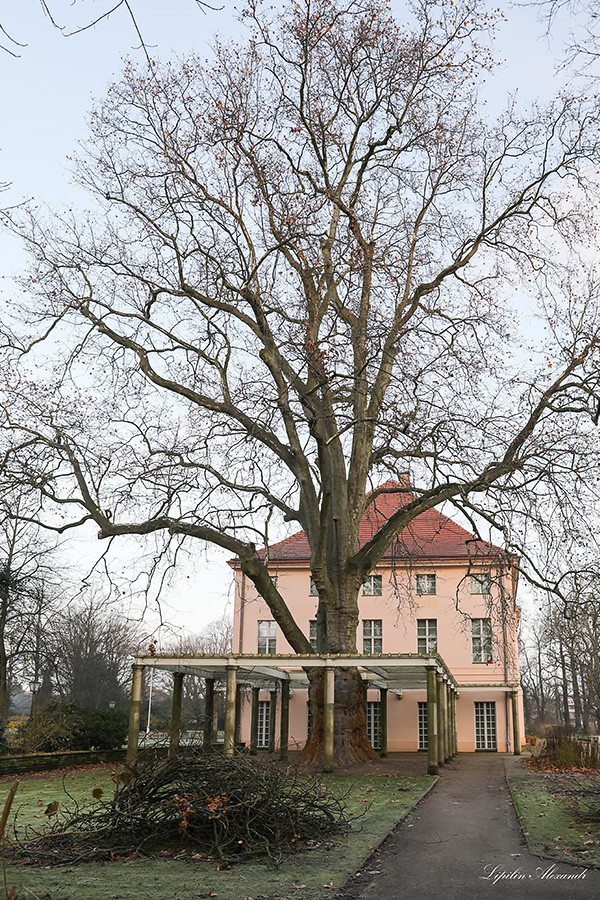 Дворец Шенхаузен Берлин (Berlin) Нидершёнхаузен (Niederschönhausen) 