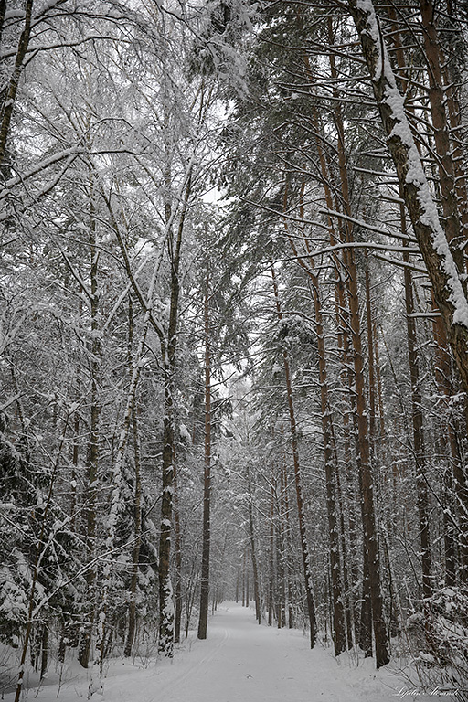 Парк Мещерский