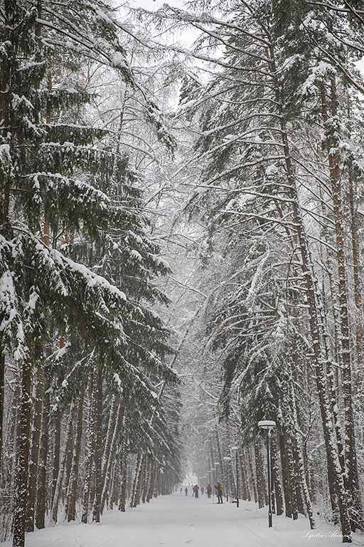 Парк Мещерский