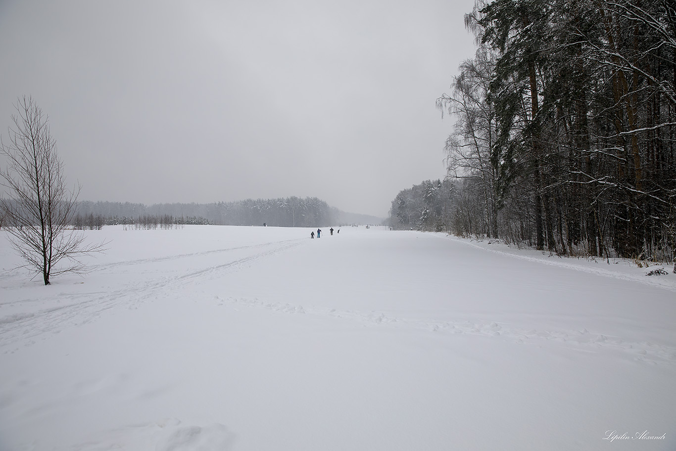 Парк Мещерский