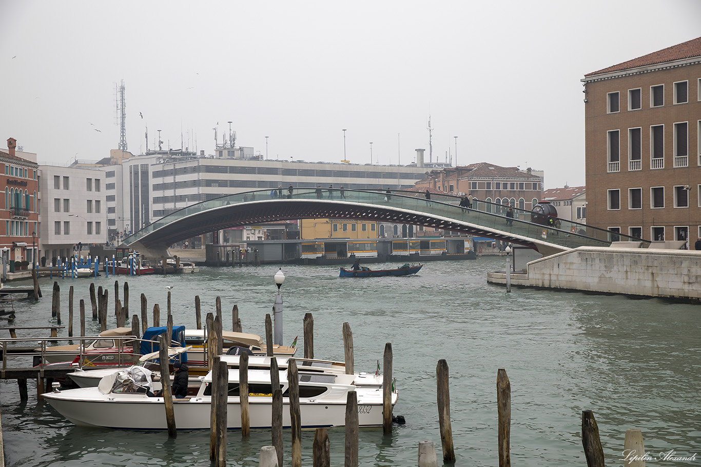 Венеция (Venezia)